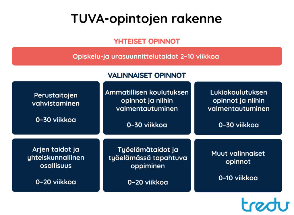 Rakennekuva TUVA-opintojen sisällöistä.