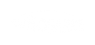 Puuosaamista Pirkanmaalle logo