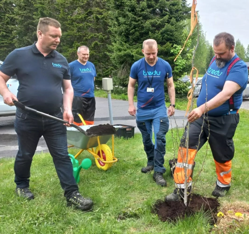 Neljä miestä istuttamassa puuta