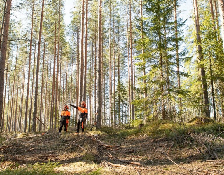 Kaksi miestä seisoo havumetsässä