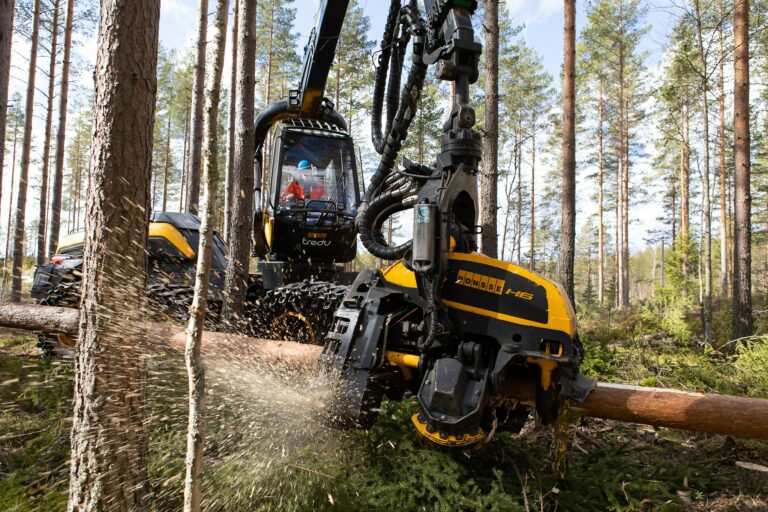 Hakkuukone työssä metsässä
