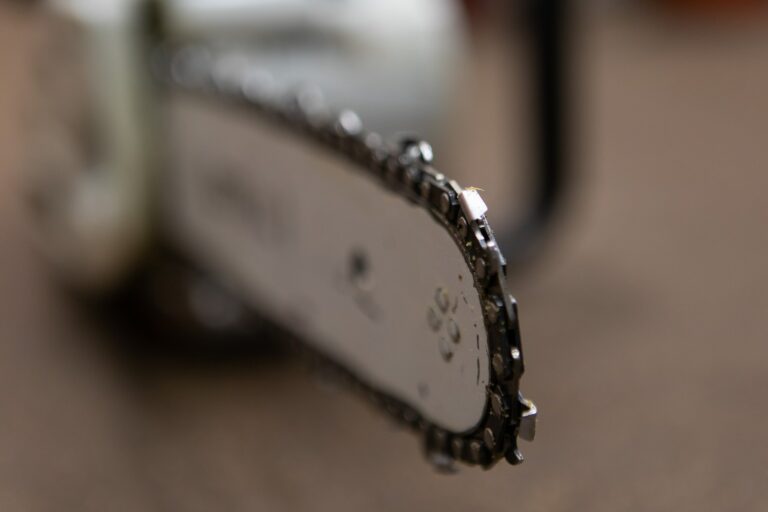 Kuvassa moottorisahan teräketju laipassa.