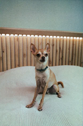 Jussi Toivanen Grayn sängynpääty.