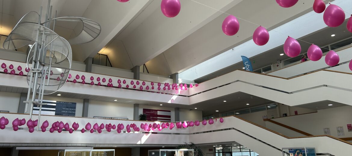 Pinkkejä ilmapalloja Sammonkadun kampuksella.